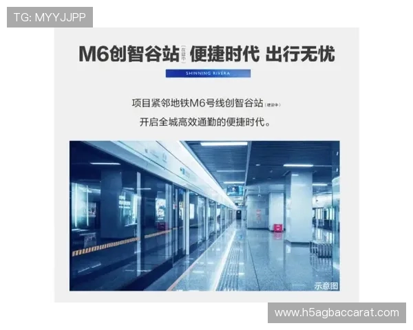 云顶国际官网入口登录：便捷安全的官方入口指南推荐