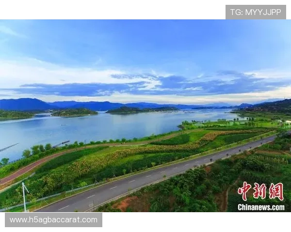 云顶集团公司在社会责任履行方面的实践经验与可持续发展路径探讨