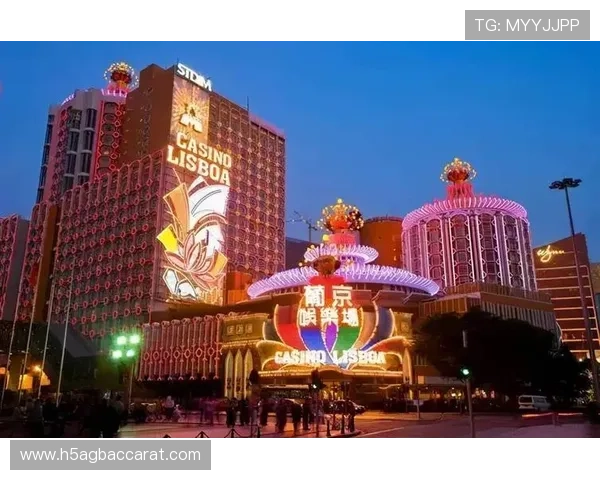 新云顶国际集团(澳门)有限公司：创新管理模式助力澳门娱乐产业迈向国际化新阶段