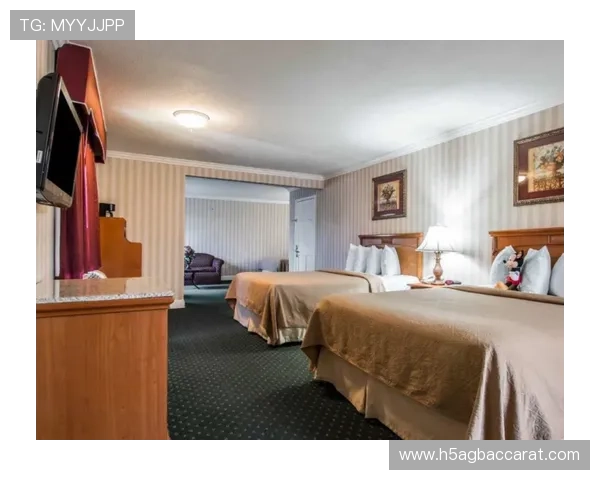 ag666平台最新优惠活动全面解析让你轻松享受福利